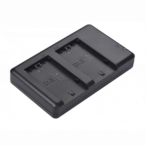 FB TECH FB-DC-NP-FZ100 dbl Dual Slot Quick Charger