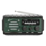 Green Lion G-Radio with Power Bank & Flashlight